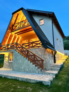 Rustic Luxury Villa Drina Drlače